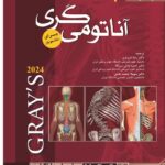 آناتومی گری برای دانشجویان (جلد سوم : سر و گردن) جلد شومیز 2024