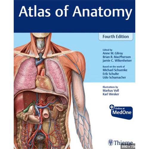 Atlas of Anatomy 4th Edition 2020 - آوا کتاب