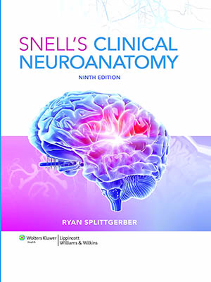 Snell's Clinical Neuroanatomy-2024-Cover