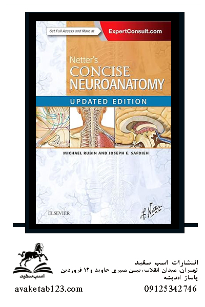 Netter’s Concise Neuroanatomy Updated Edition (Netter Clinical Science)خرید کتاب نوروآناتومی مختصر نتر