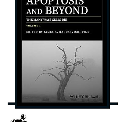 Apoptosis and Beyond