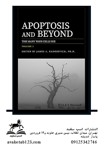 Apoptosis and Beyond