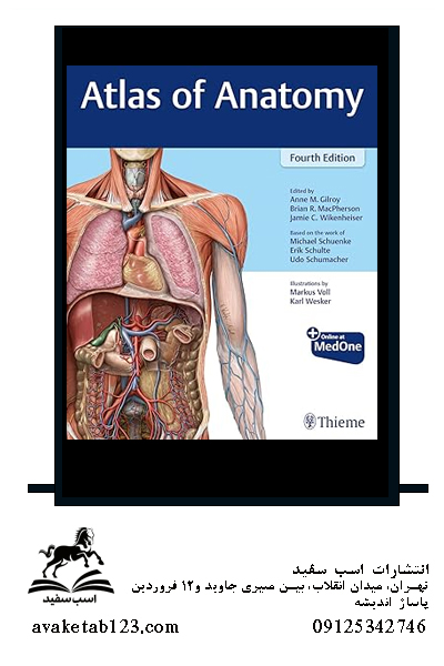 Atlas of Anatomy 4th Editionکتاب اطلس آناتومی تیمه
