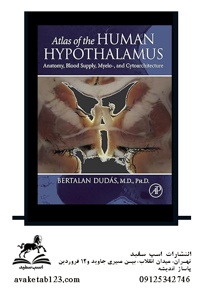 Atlas of the Human Hypothalamus: Anatomy Blood Supply Myelo and Cytoarchitecture