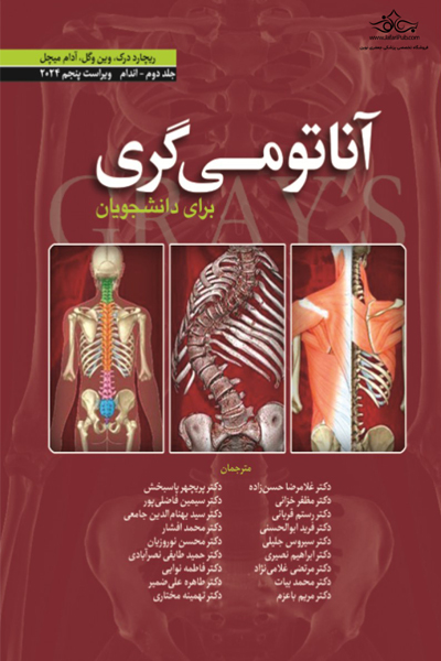 کتاب آناتومی گری اندام 2024 برای دانشجویان اثر جمعی از نویسندگان انتشارات ابن سینا جلد 2