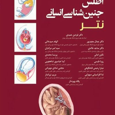 اطلس جنین‌شناسی انسانی نتر 2024